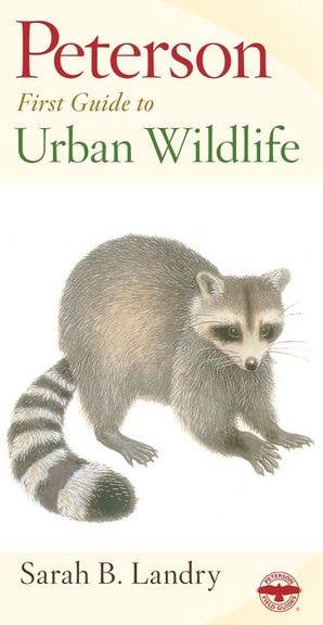 Peterson First Guide to Urban Wildlife: Sarah B. Landry