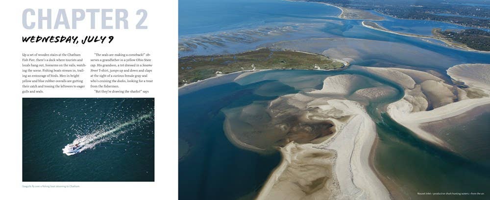 The Great White Shark Scientist : Sy Montgomery