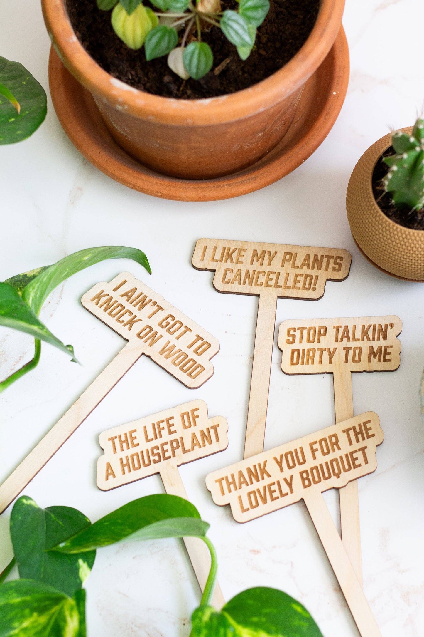 The Life of a Plant Girl Plant Markers