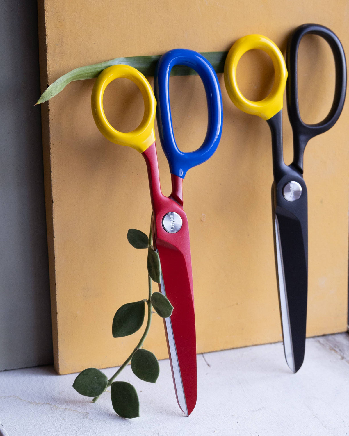 Chroma Scissors