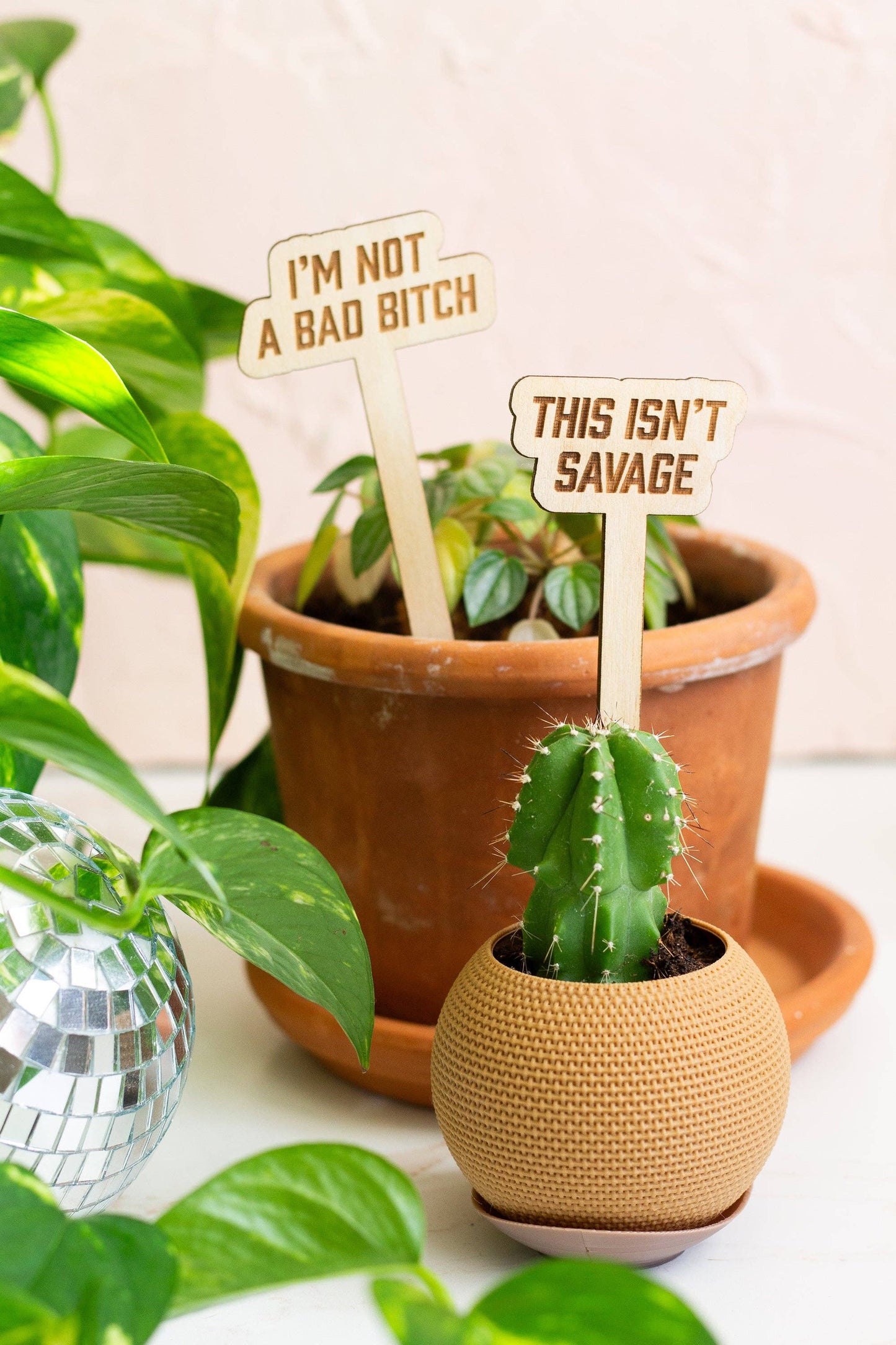 The Life of a Plant Girl Plant Markers