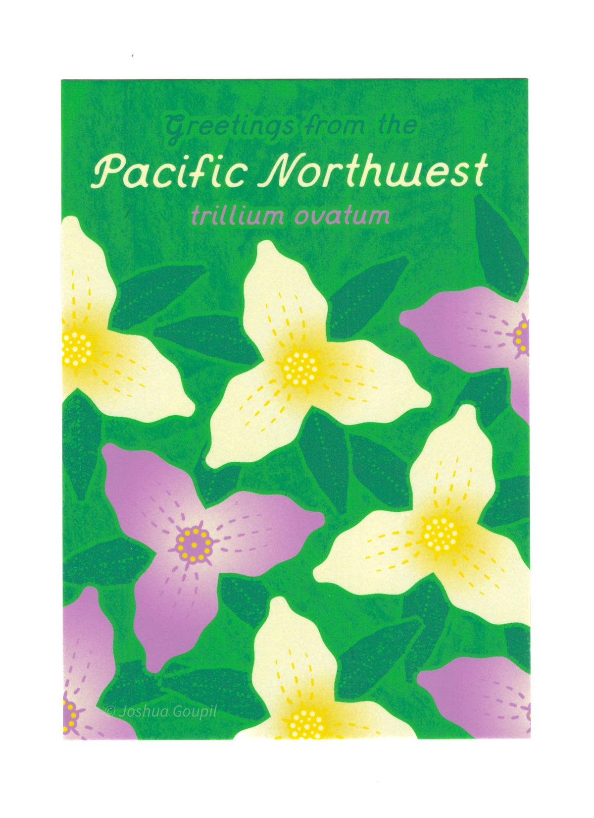 Pacific Northwest Trillium Postcard
