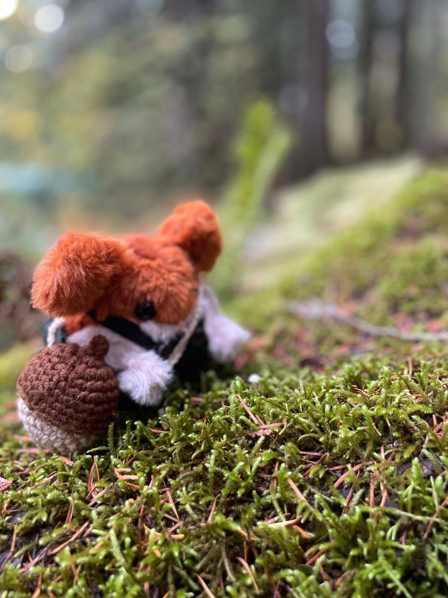 Acorn Bag - Plushie Accessories