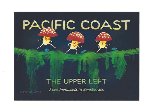 "Pacific Coast" Redwoods to Rainforests Mushroom Postcard