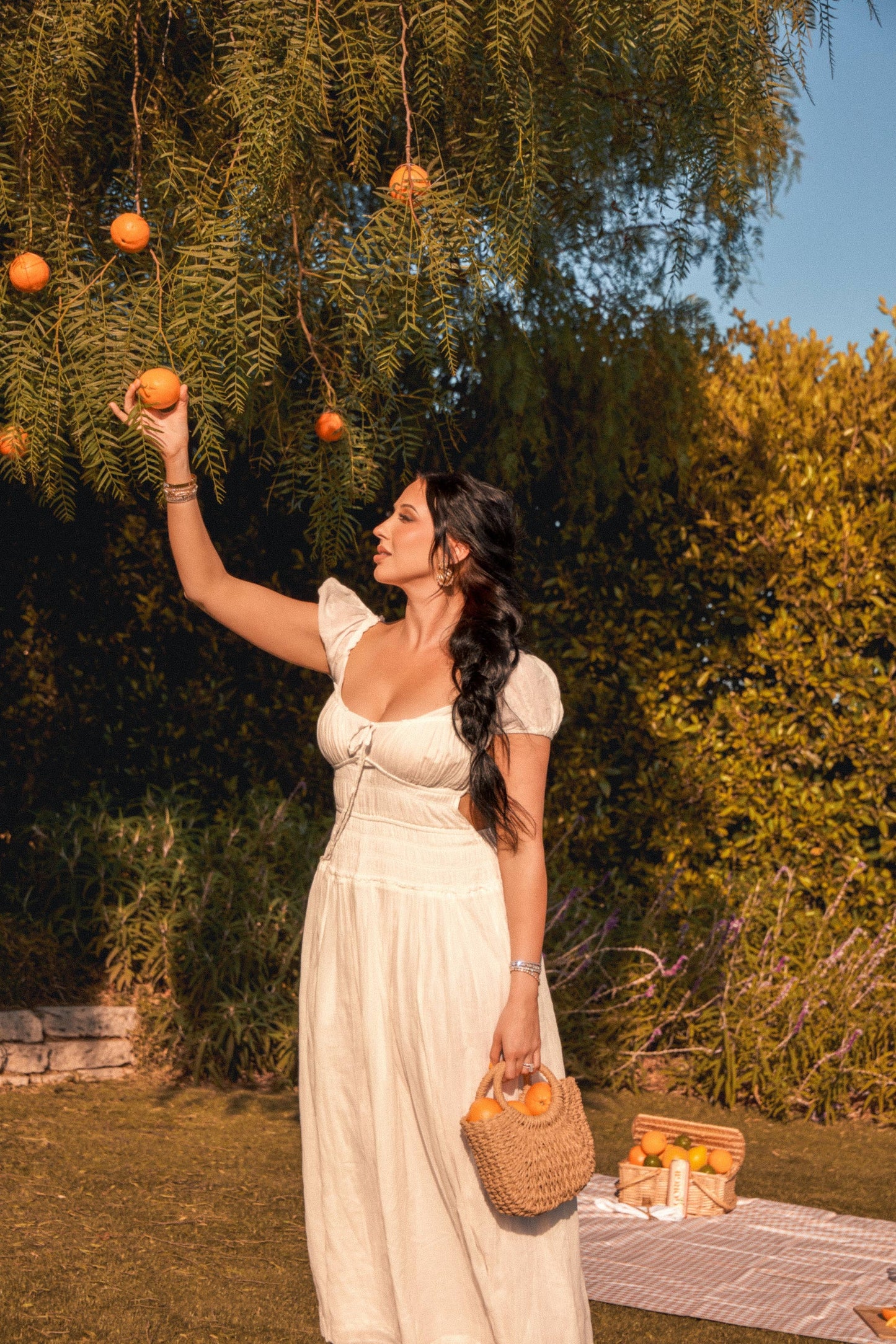 Gorgie Energy Drink - Jaclyn Hill's Orange Twist