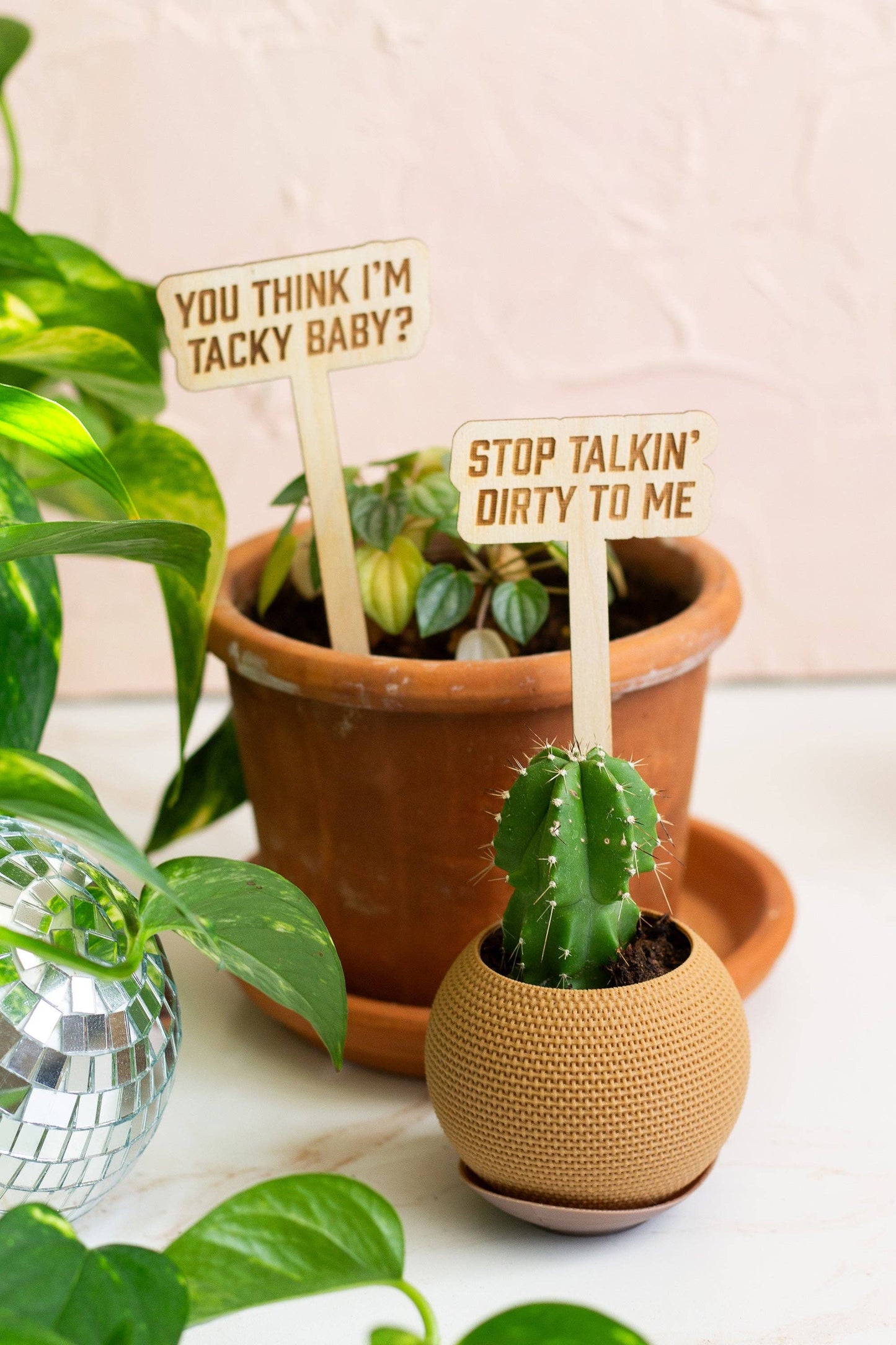 The Life of a Plant Girl Plant Markers
