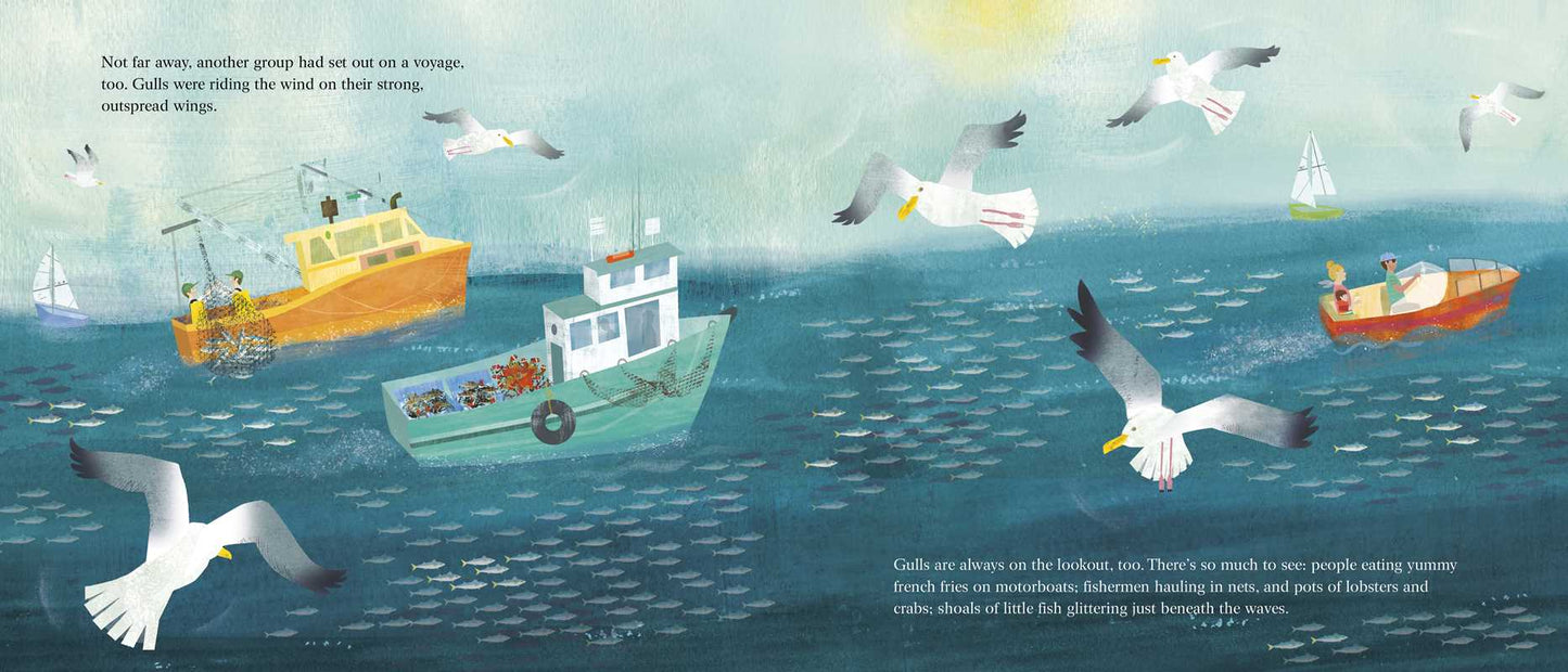 Seagull and the Sea Captain by Sy   Montgomery