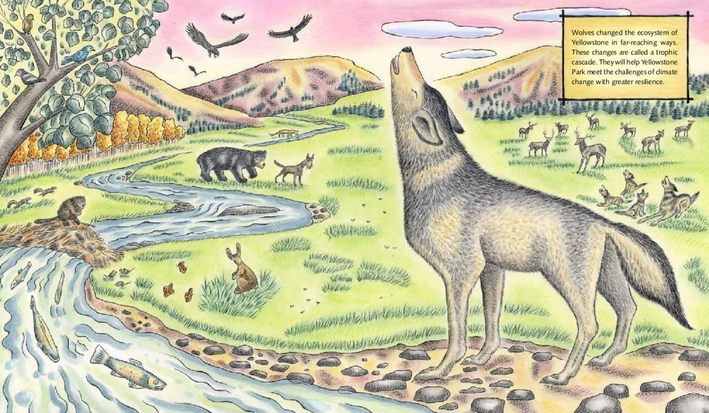 Wolf Effect, The: Rosanne Parry