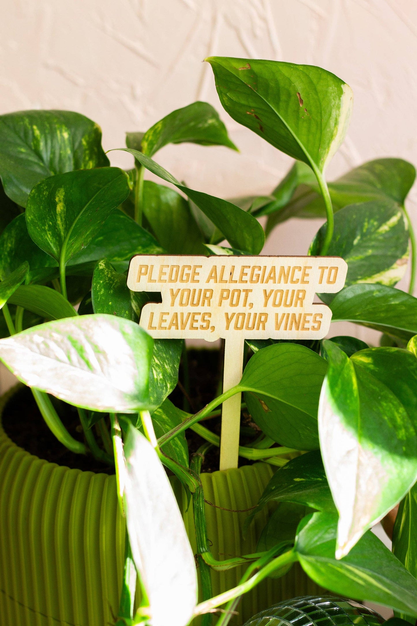The Life of a Plant Girl Plant Markers