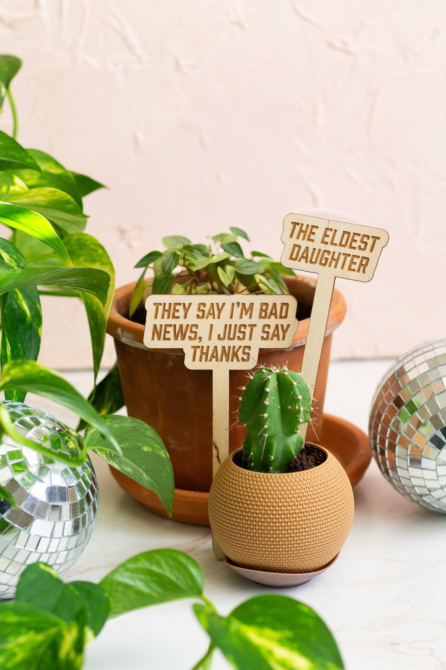 The Life of a Plant Girl Plant Markers