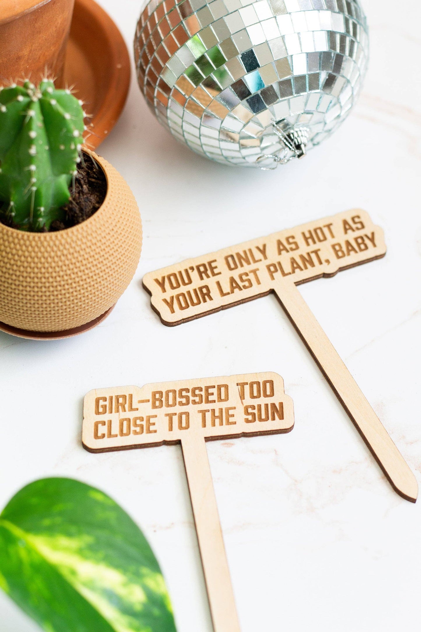 The Life of a Plant Girl Plant Markers
