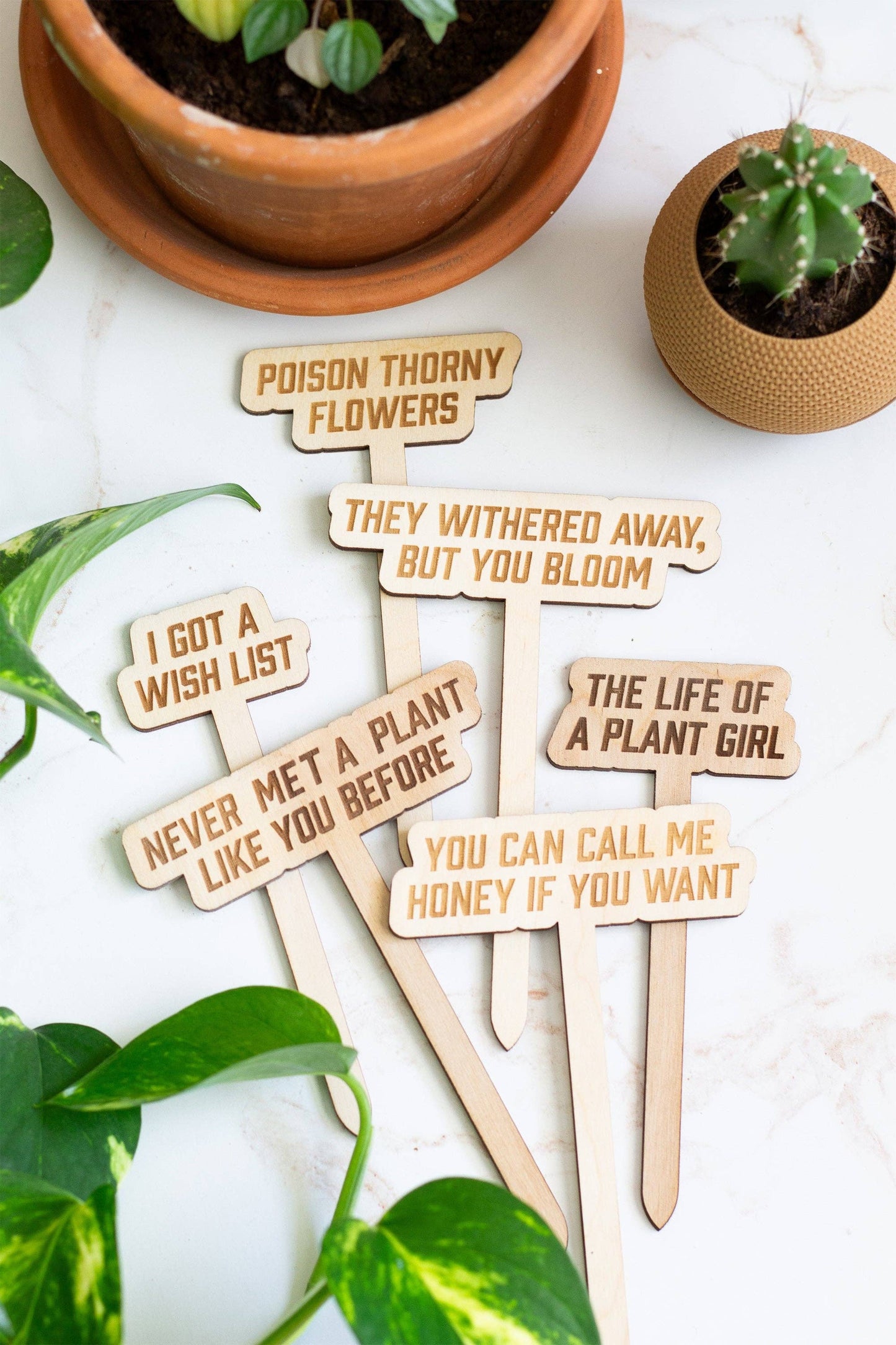 The Life of a Plant Girl Plant Markers