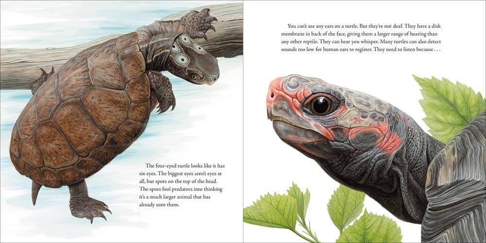 Book of Turtles, The: Sy Montgomery