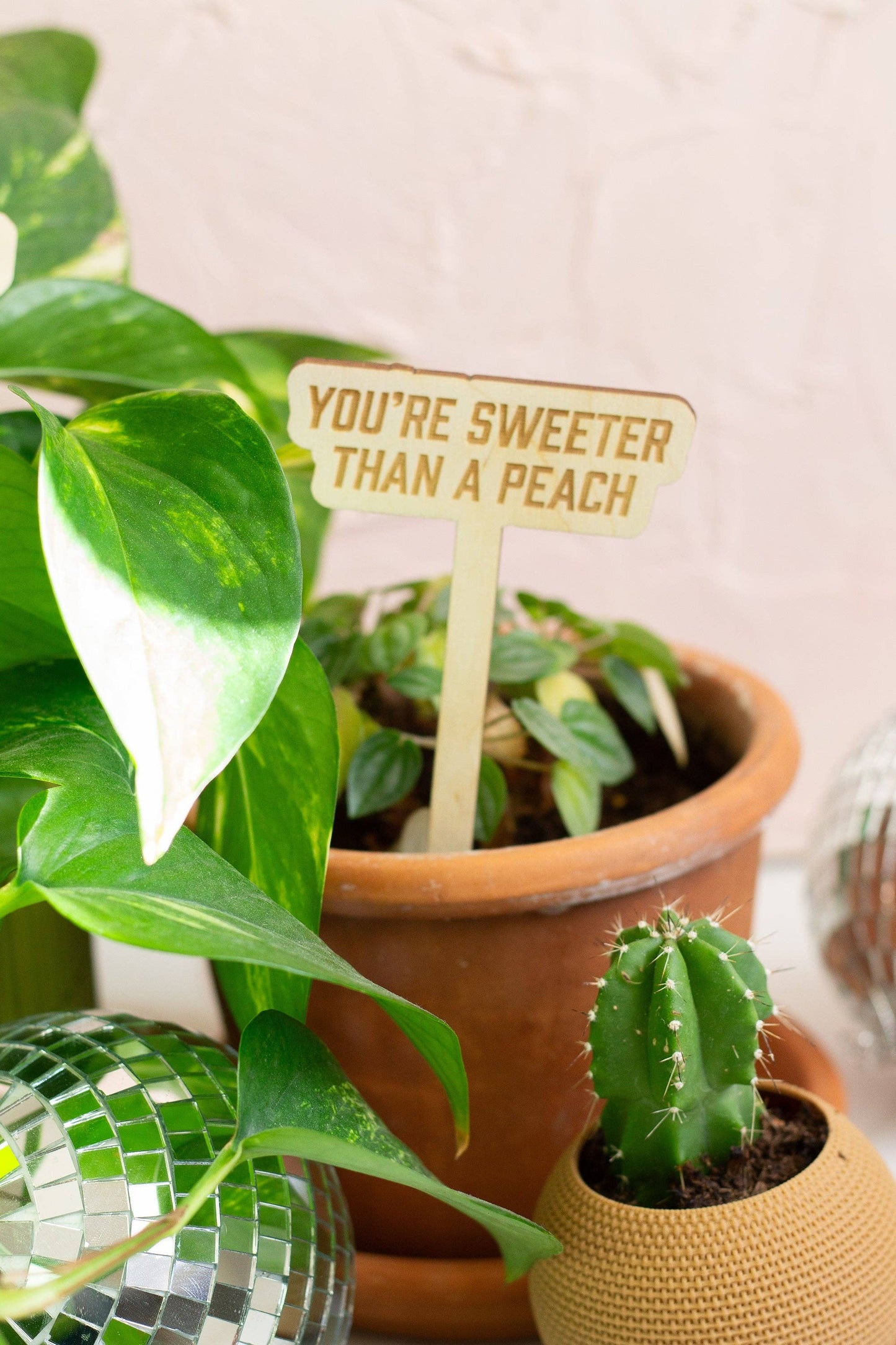 The Life of a Plant Girl Plant Markers