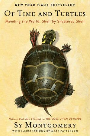 Of Time and Turtles: Sy Montgomery