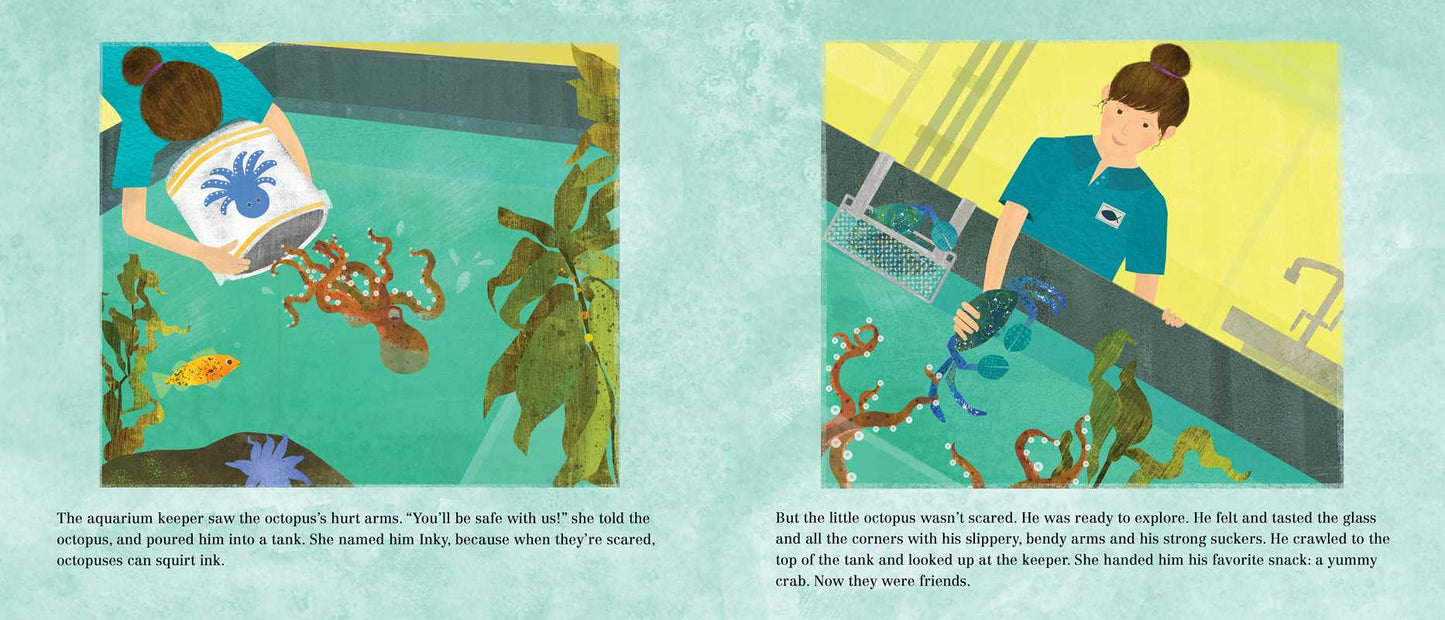 Inky's Amazing Escape by Sy   Montgomery