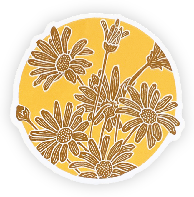 Common Daisy Vinyl Sticker