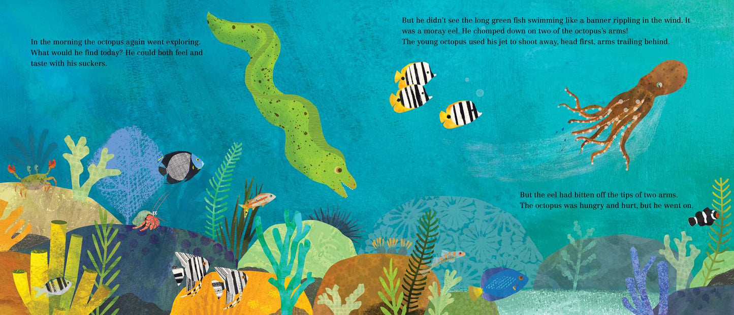Inky's Amazing Escape by Sy   Montgomery
