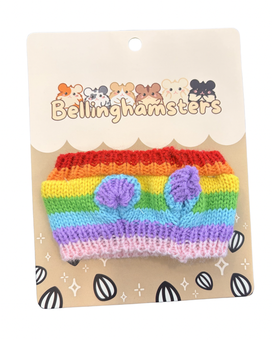 Rainbow Sweater - Plushie Accessories