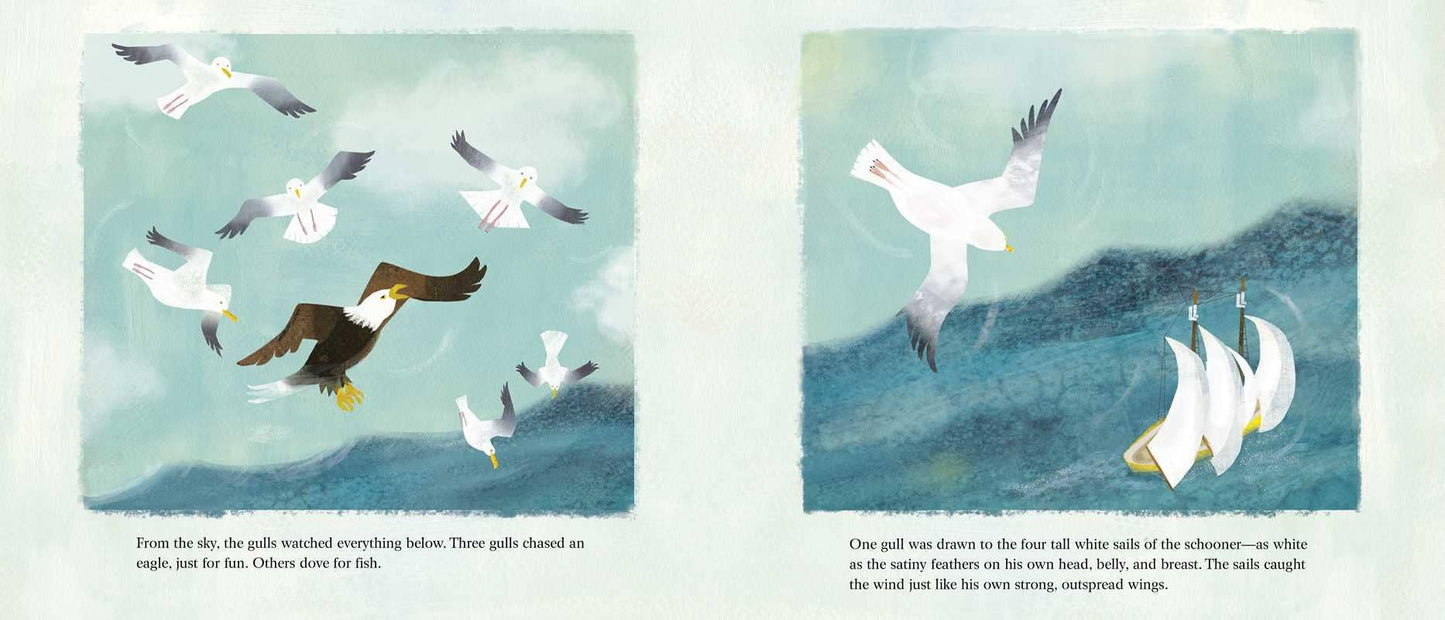 Seagull and the Sea Captain by Sy   Montgomery