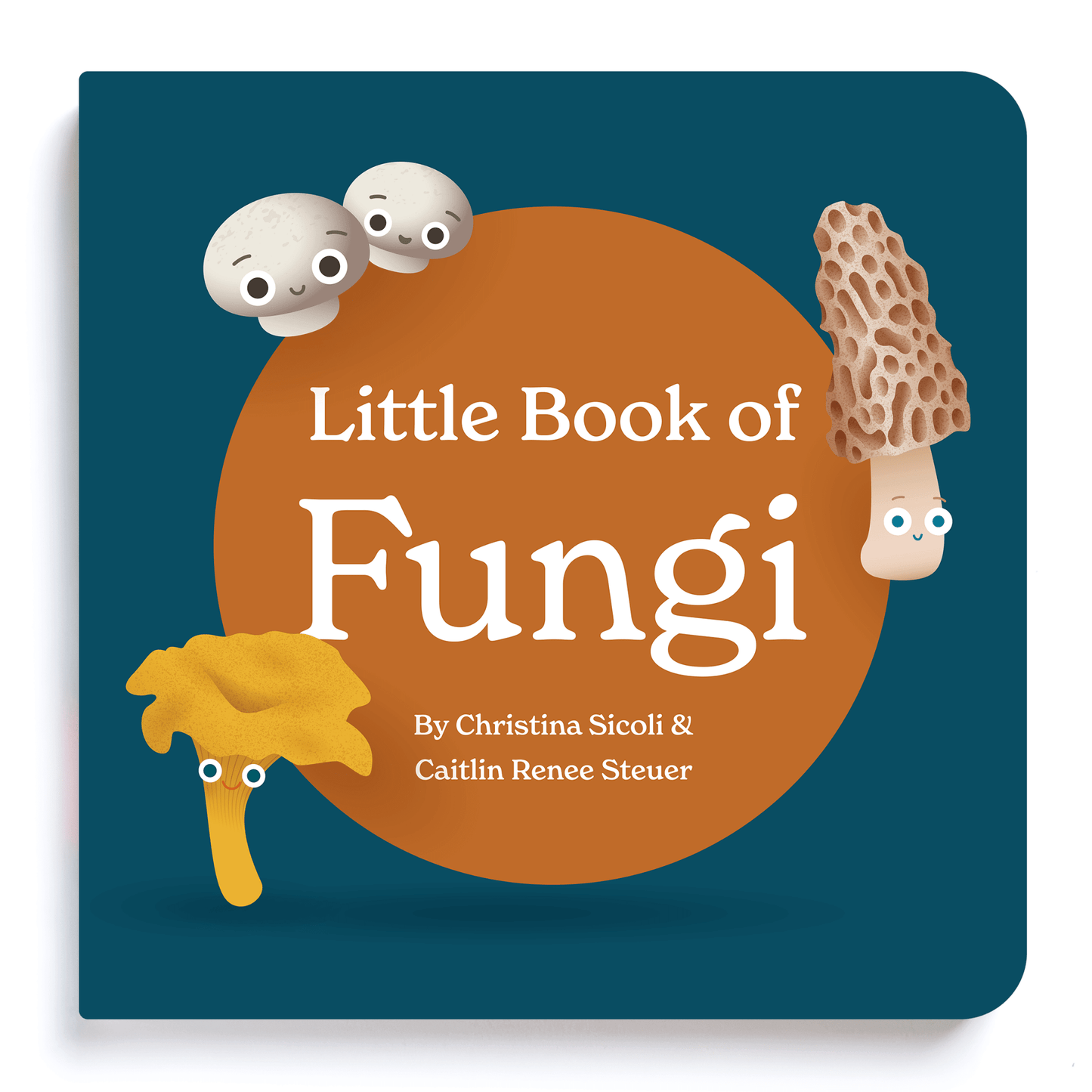 Little Books: Starter Collection