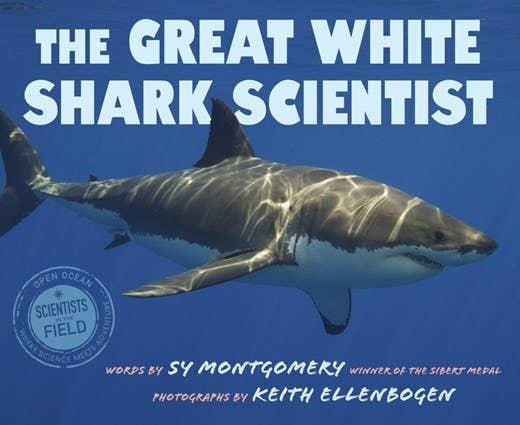 The Great White Shark Scientist : Sy Montgomery