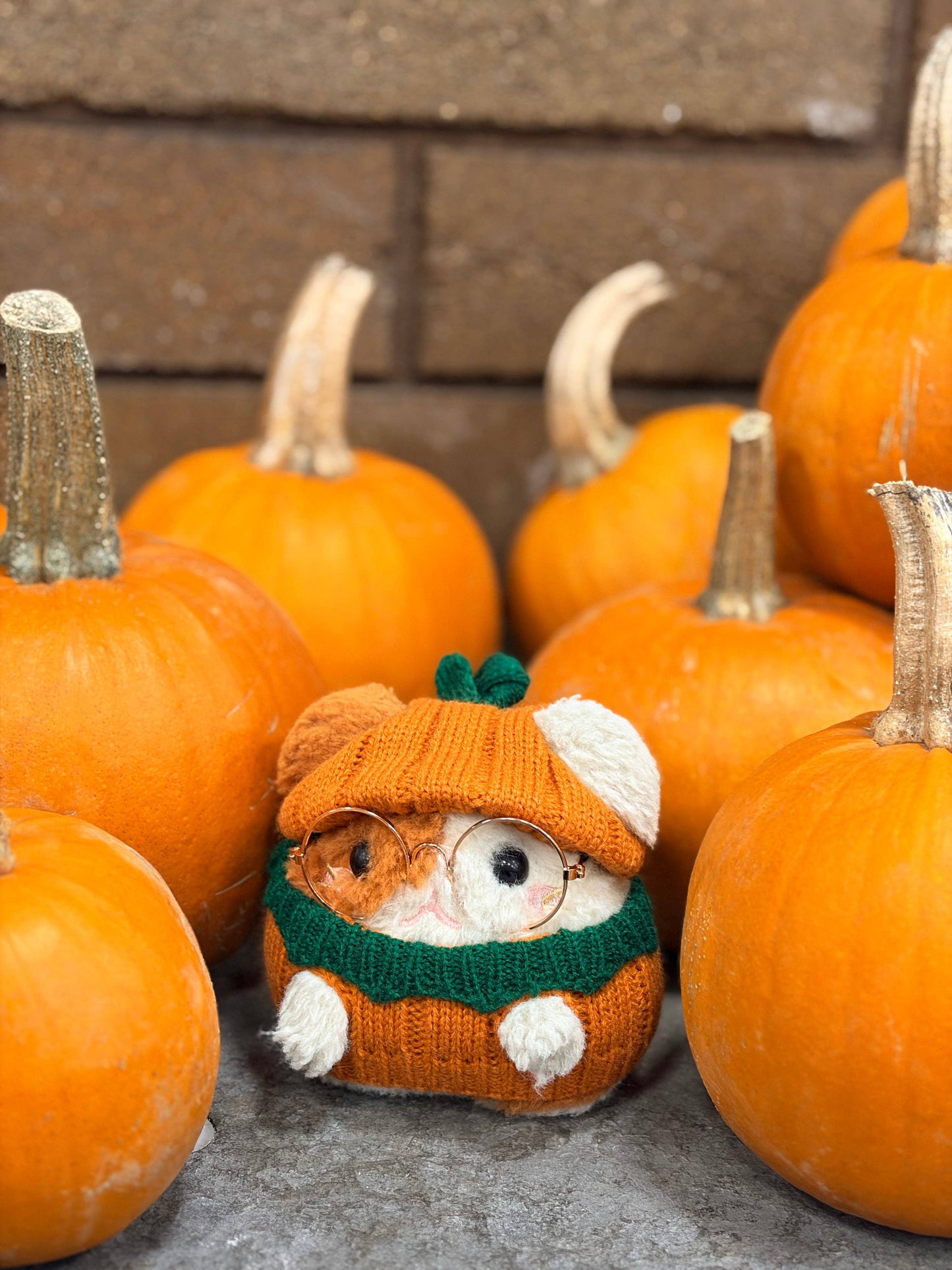 Pumpkin Costume - Plushie Accessories